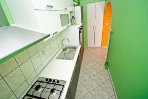 Kuchyň nebo kuchyňský kout v ubytování Apartman Diana