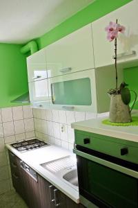 Kuchyň nebo kuchyňský kout v ubytování Apartman Diana