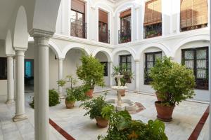 コルドバにあるCasa Luz Cordobaの鉢植えの植物と噴水のある中庭