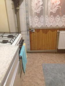 a kitchen with a stove top oven in a room at Gorodok Home in Skole