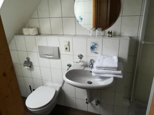 Schwarzwaldgasthaus Salenhof tesisinde bir banyo