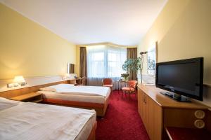 TV a/nebo společenská místnost v ubytování Hotel Jana