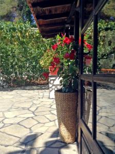 Giardino di La Mirage