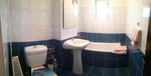 ピテシュティにあるApartament Pitestiの青と白のバスルーム(洗面台、トイレ付)