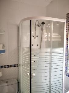 a bathroom with a shower and a toilet at Hostal Alcántara in Avila