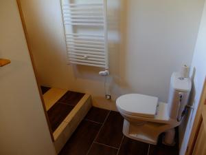 a small bathroom with a toilet and a shower at Un petit nid dans la garrigue in Saint-Pierre-des-Champs