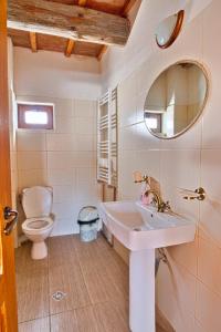 a bathroom with a sink and a toilet and a mirror at Casa din Piatra in Poiana +48 photos