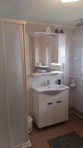 克拉尼斯卡戈拉apartma Albina的浴室里有洗手池和镜子 更多9张照片