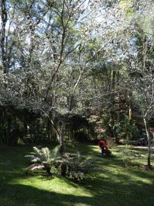 uma pessoa parada num quintal com uma árvore em Recanto dos Kerr em Monte Verde