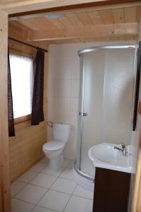 uma casa de banho com um WC, um chuveiro e um lavatório. em Domki Letniskowe U Cichego em Jezierzany
