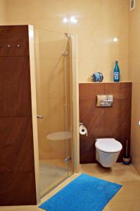 a bathroom with a shower with a toilet and a blue rug at Apartament Solano przy plaży in Darlowko