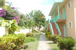 Bird Rock Beach Hotel外面的花园