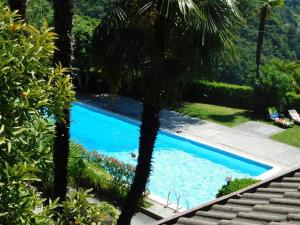 a swimming pool with a palm tree in a yard at Pandora 1 in Maccagno Inferiore