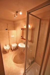 a bathroom with a shower and a sink and a toilet at Maso Toneto in Castello di Fiemme