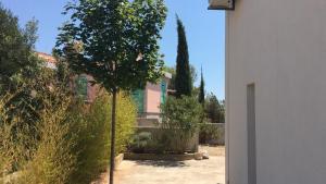 Vonkajšia záhrada v ubytovaní Villa Paradise Regained
