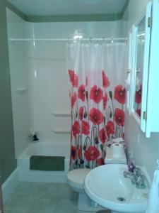 een badkamer met een toilet en een douchegordijn met rode bloemen bij B&B Art of Germany in Caledonia +47 foto's