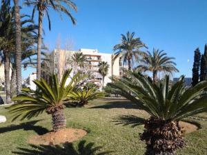 Imagem da galeria de Primera línea en Playa Sur. Plaza Constitución em Peñíscola