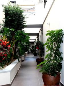 Zahrada ubytování Apartamentos Las Mozas