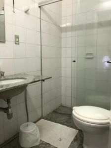 a bathroom with a shower and a toilet and a sink at Central Plaza Hotel Tupa in Tupã