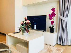 TV a/nebo společenská místnost v ubytování Astra Suites Central