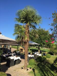 Zahrada ubytování Hotel Restaurant De Kommel