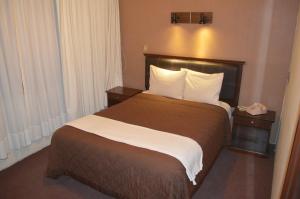 Voodi või voodid majutusasutuse Hotel Flamingo Kristal toas