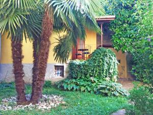 deux palmiers devant une maison dans l'établissement Apartment La Bigatera, à Castelveccana