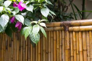 Fotografie z fotogalerie ubytování Casa Clara Paraty v destinaci Paraty