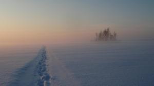 a snow covered field with footprints in the snow at Koskelon Lomamökit in Rääkkylä