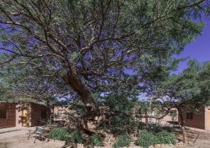 Fotografie z fotogalerie ubytování Hotel Casa Don Esteban v destinaci San Pedro de Atacama