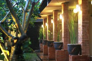 una fila di piante in vaso sul lato di un edificio di Ulu Bali Homestay a Jimbaran