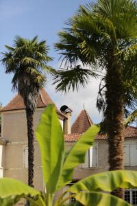 twee palmbomen voor een gebouw bij Chateau Saint Martin B&B in Pouillon