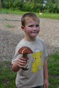 a young boy holding a mushroom in his hand at Villa Leppäkerttu in Enonkoski