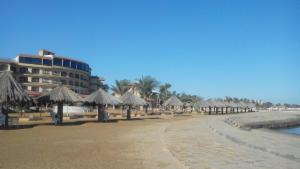 una spiaggia con alcuni ombrelloni di paglia e un edificio di Fayed Armed Forces Hotel a Fayed