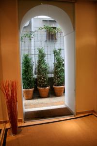 Fotografie z fotogalerie ubytování Sorrento Apartments One v Sorrentu
