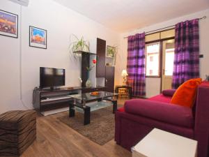 TV a/nebo společenská místnost v ubytování Apartment Luciano 1540