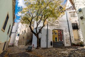 een boom in het midden van een steegje met een bank bij Little River View Triplex in Alfama in Lissabon