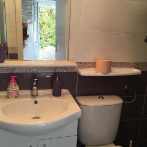 ein Badezimmer mit einem Waschbecken, einem WC und einem Spiegel in der Unterkunft Apartment Nikka in Dubrovnik