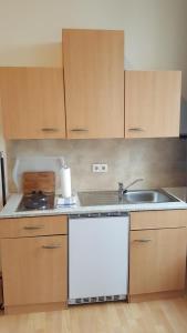 a kitchen with a sink and a dishwasher at Apartments in der Friedrich Ebert Straße 90 Sportforum in Leipzig