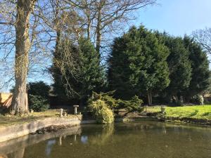 um lago num parque com árvores e relva em TOR Rooms em Canterbury