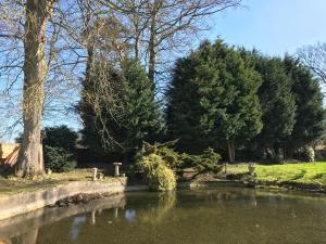 un étang dans un parc planté d'arbres et d'herbe dans l'établissement TOR Rooms, à Canterbury