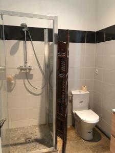 a bathroom with a shower and a toilet at Studio Saint Anne in Montpellier +6 photos