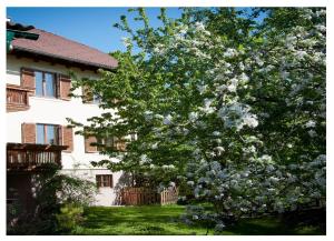 Zahrada ubytování Apartments Himmelreich