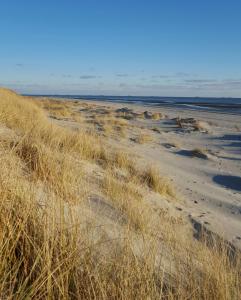 a sandy beach with tall grass and the ocean at Whg Suedblick auf Föhr in Goting