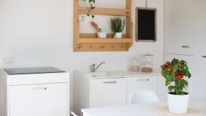 Köök või kööginurk majutusasutuses Ecosuite & SPA