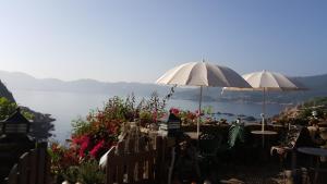 Táj Show homestays közelében