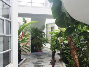 Zahrada ubytování Zuruma Hotel