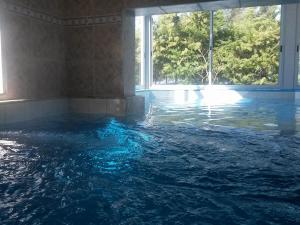 a pool of water in a room with a window at Hotel La Posta del Dayman in Termas del Daymán