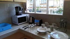 a kitchen counter with a coffee maker and a microwave at Alpha Villa in Flic-en-Flac