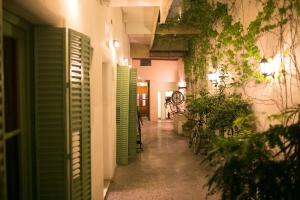 a hallway with green shutters and plants in a building at Sabatico Travelers Hostel & Guesthouse in Buenos Aires